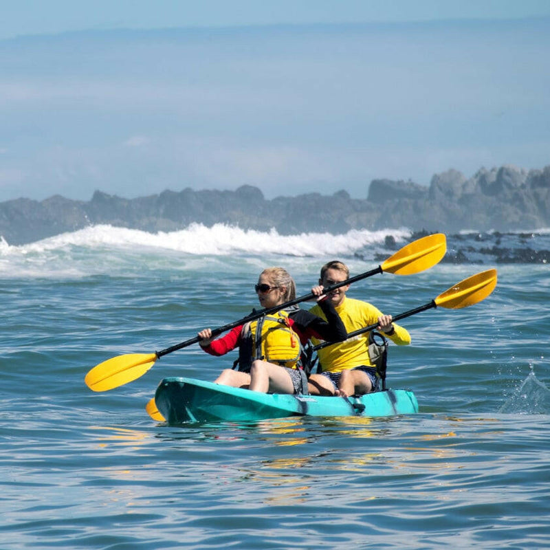 Load image into Gallery viewer, Bluefin 12'0 Tandem Kayak - Vanhunks Outdoor