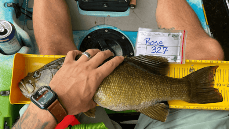 Bass Baits and How To Throw Them