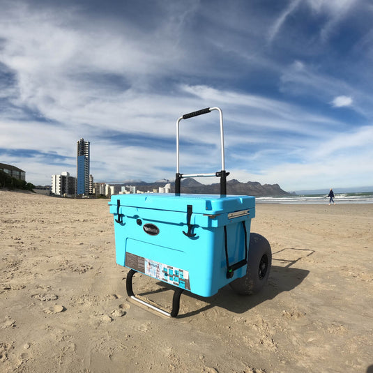 BEACH CART