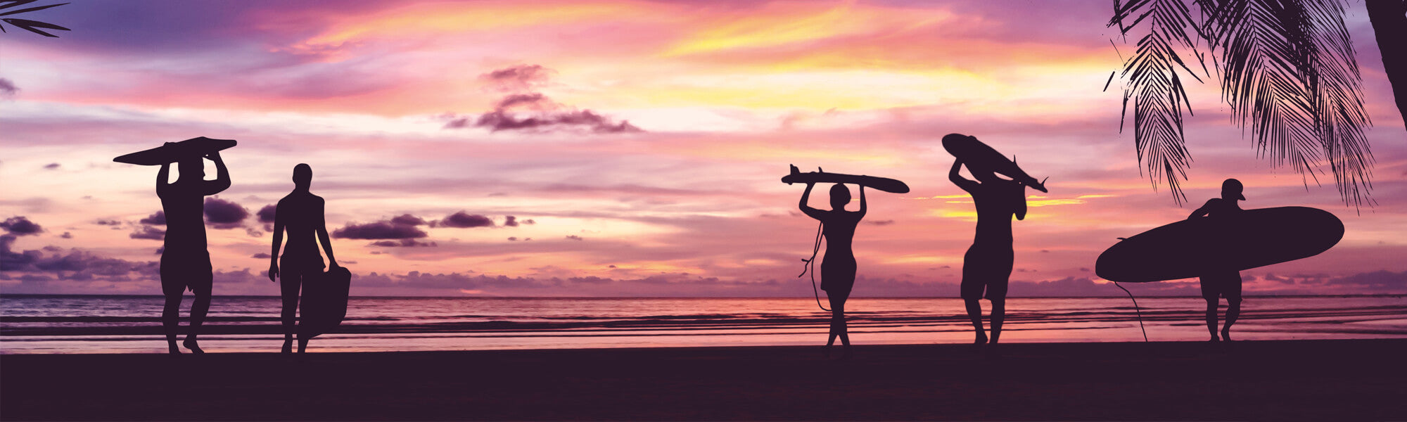 Surfboards - Vanhunks Outdoor