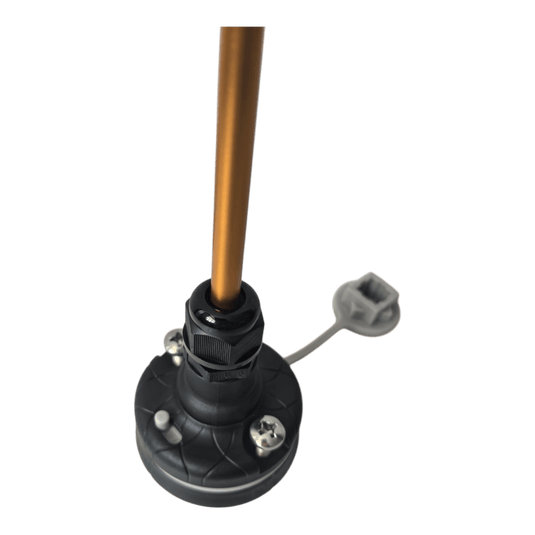 pole with mount