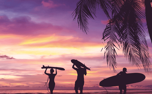 Vanhunks surfboard deals