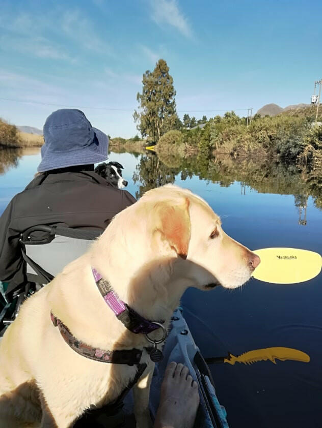 Load image into Gallery viewer, Orca 13&#39;0 Tandem Kayak - Vanhunks
