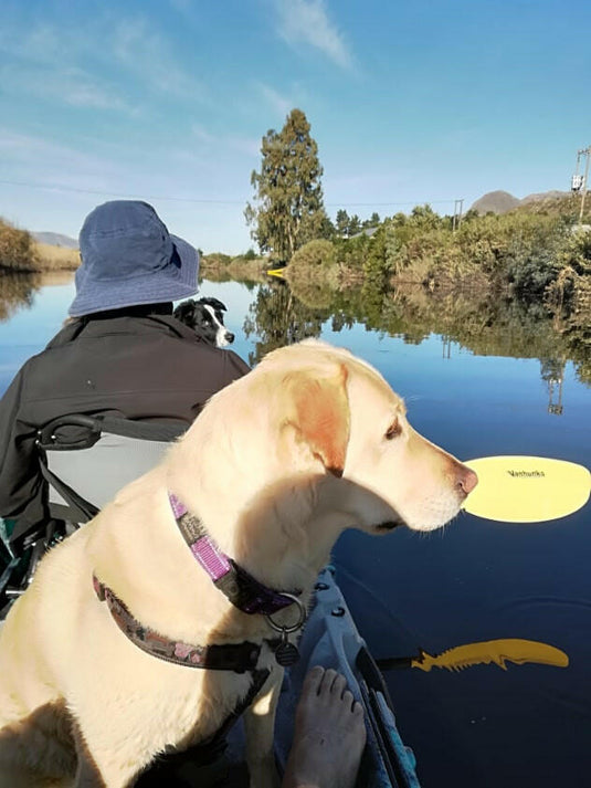 Orca 13'0 Tandem Kayak - Vanhunks